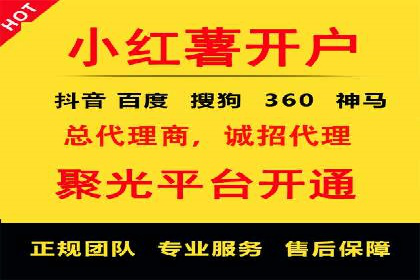 信息流内容运营案例